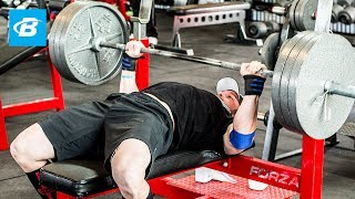 How To Bench Press Layne Nortons Complete Guide [upl. by Kobi584]