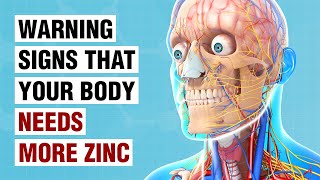 10 Warning Signs Your Body Needs More Zinc [upl. by Art197]