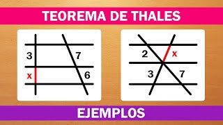 TEOREMA DE THALES  EXPLICACIÓN  EJEMPLO [upl. by Tillfourd564]