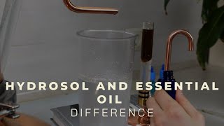 Hydrosol vs Essential oil  Beginners guide  distillation at home [upl. by Ettena]