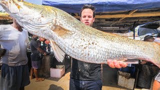 MASSIVE Seafood FEAST in Sri Lanka  INSANE Fish Market and HOME COOKED Sri Lankan FISH CURRY HEAVEN [upl. by Kynan]