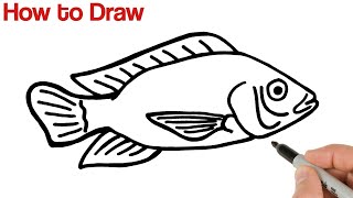 How to Draw Tilapia Fish Easy [upl. by Aneet]