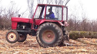 Tractorul UTB 650 la defrișat în Oradea [upl. by Dinny]