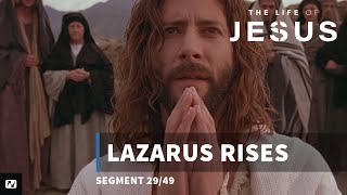 Lazarus Rises  The Life of Jesus  29 [upl. by Huntingdon]