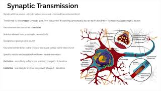 Biopsychology  Revision [upl. by Hcaz642]