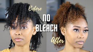 How I Dye My Natural Hair With No Bleach  Clairol Review [upl. by Zitella144]