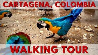 Cartagena Colombia Cruise Port Walking Tour [upl. by Attenaj]