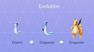 Dragonite Full Evolution Chain Evolving Dratini to Dragonair to Dragonite Plus Power Ups [upl. by Aihsetan219]