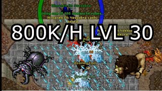 Tibia Hunt Lvl 30 Ed e Ms Mage  Lions Rock  Melhor que Peg Leg e The spike  Tibia [upl. by Brier591]