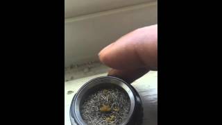 Volcano vaporizer with wax [upl. by Haroldson]