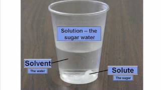 Solute and Solvent  Dissolving [upl. by Blanding]