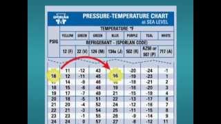 How to Use a PT Chart [upl. by Airdnassac930]