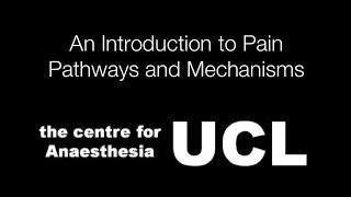 An Introduction to Pain Pathways and Mechanisms [upl. by Suoicerp758]