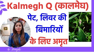 kalmegh ke fayde  kalmegh q homeopathic medicine benefits  kalmegh q ke fayde in hindi [upl. by Bohaty]