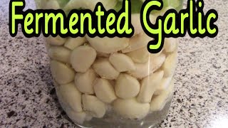 Fermented Garlic  Preserving Garlic with Fermentation [upl. by Gigi]