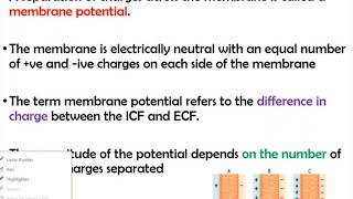 Membrane Potential NS video 5 [upl. by Richmond]