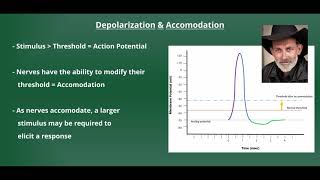 NMT Monitoring using Acceleromyography AMG [upl. by Limay661]