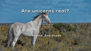 Are unicorns real [upl. by Whang]