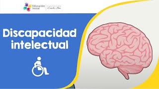 Discapacidad intelectual [upl. by Humfried]