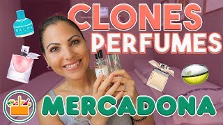 IMITACIÓN PERFUMES DE ALTA GAMA DE MERCADONA🔎  Carla Wonderland [upl. by Airol973]