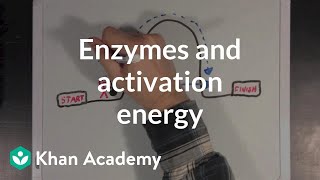 Enzymes and activation energy  Biomolecules  MCAT  Khan Academy [upl. by Sturdivant]