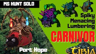 TIBIA CARNIVORA HUNT  MASTER SORCERER SOLO [upl. by Obadiah]