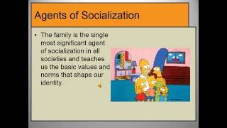 Agents of Socialization [upl. by Reivax]