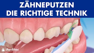 Zähneputzen  Die richtige Technik © [upl. by Linehan]