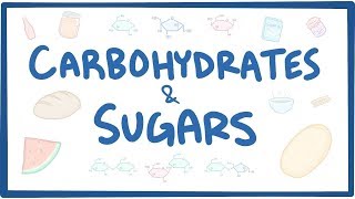 Carbohydrates amp sugars  biochemistry [upl. by Notnert]