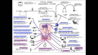 Instructor Series Inputs outputs amp PCM [upl. by Ativel]