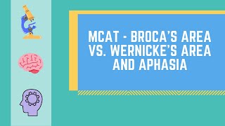 Brocas Area vs Wernickes Area and Aphasia MADE EASY  MCAT [upl. by Leftwich]