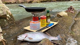 Creek Side TROUT CATCH and COOK [upl. by Alix]