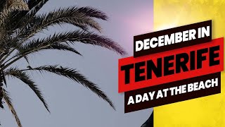 MOVING TO TENERIFE  DAY AT THE BEACH IN DECEMBER [upl. by Ahseit]