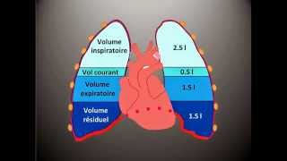 Kinésithérapie Respiratoire 3  Les Volumes Pulmonaires [upl. by Zoldi79]