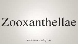 How To Say Zooxanthellae [upl. by Ainiger553]