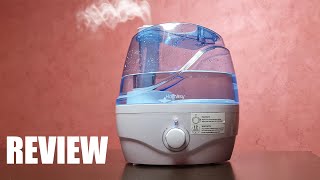 Homasy Cool Mist Humidifier VicTsing 2200ml Ultrasonic Humidifier [upl. by Freemon]