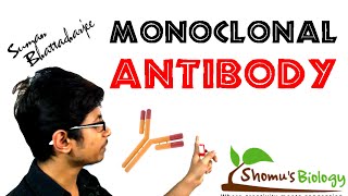 Monoclonal antibody  monoclonal antibody production using hybridoma technology [upl. by Suivatra]