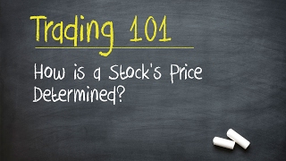 Trading 101 How is a Stocks Price Determined [upl. by Annaed913]