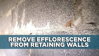 Removing Efflorescence from Retaining Walls  Ep 104 [upl. by Kong]