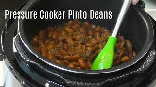 Pressure Cooker Pinto Beans  No Soak Quick Cook Beans  Cosori 2 Quart Electric Pressure Cooker [upl. by Jaquenette]