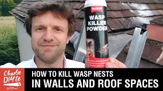 How to Kill Wasps Nests in Walls and Roof Spaces [upl. by Aiello]