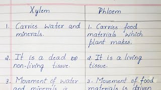 Difference between Xylem and Phloem [upl. by Pilar]