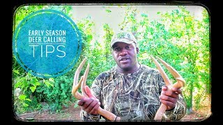 Early Season Deer Calling Tips [upl. by Aicetel]