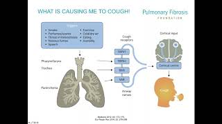 7 Best Homeopathic Medicines for Cough [upl. by Thilda316]