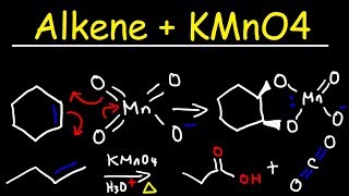 Alkene  KMnO4 Reaction [upl. by Us]