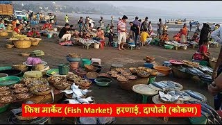 फिश मार्केट Fish Market हरणाई दापोली कोकण [upl. by Silecara]