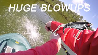 INSANE Whopper Plopper Bass Fishing BLOWUPS [upl. by Emmye]