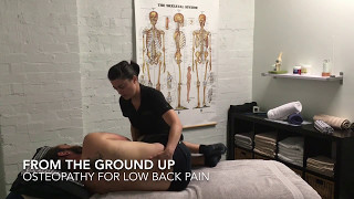 Osteopathy for Low Back Pain [upl. by Sparhawk]