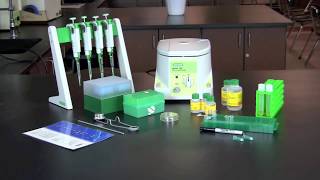 How To Perform a Plasmid Miniprep [upl. by Assirem]