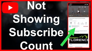 YouTube Subscriber Count Not Showing  FIX [upl. by Larsen949]